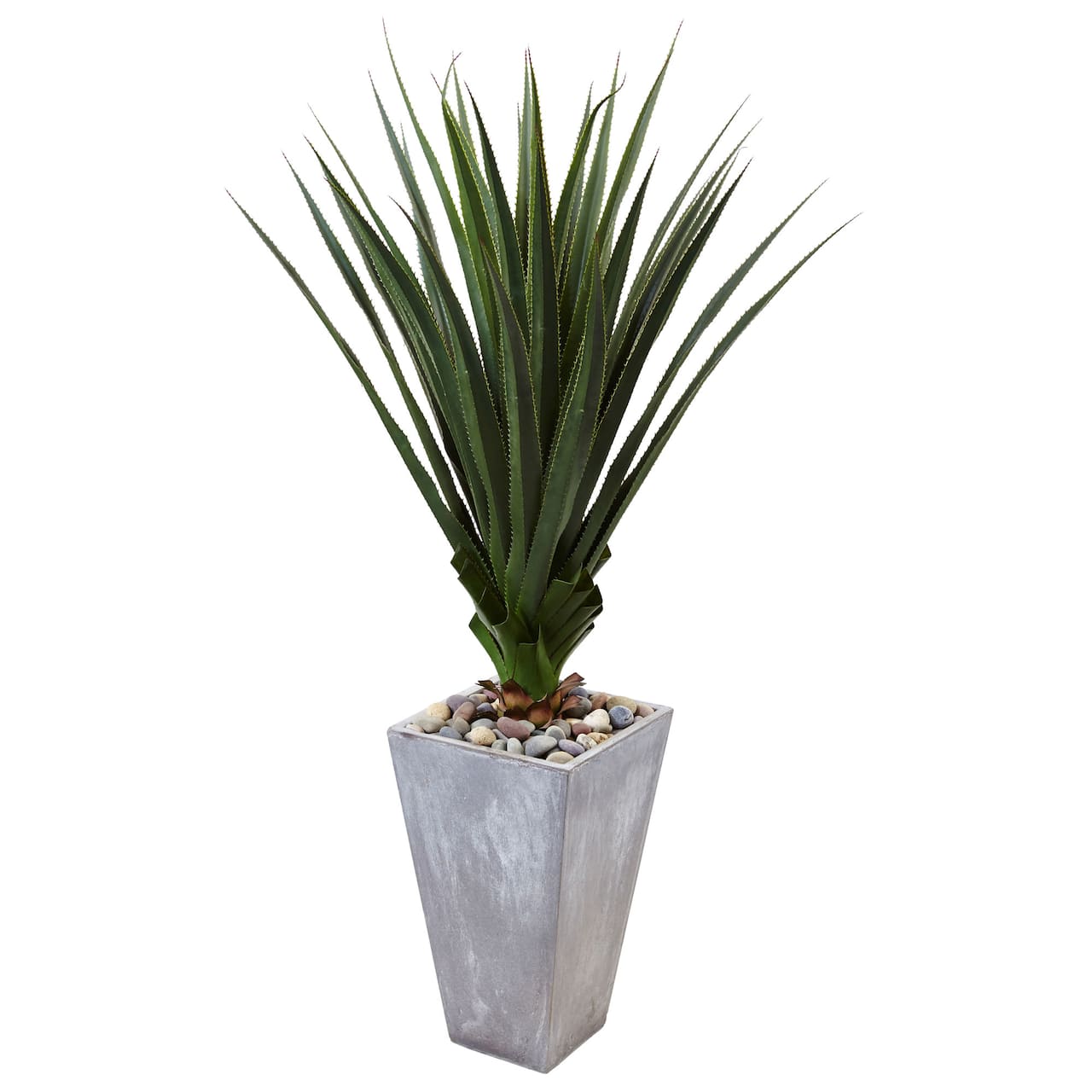 5ft. Spiked Agave Plant in Cement Planter